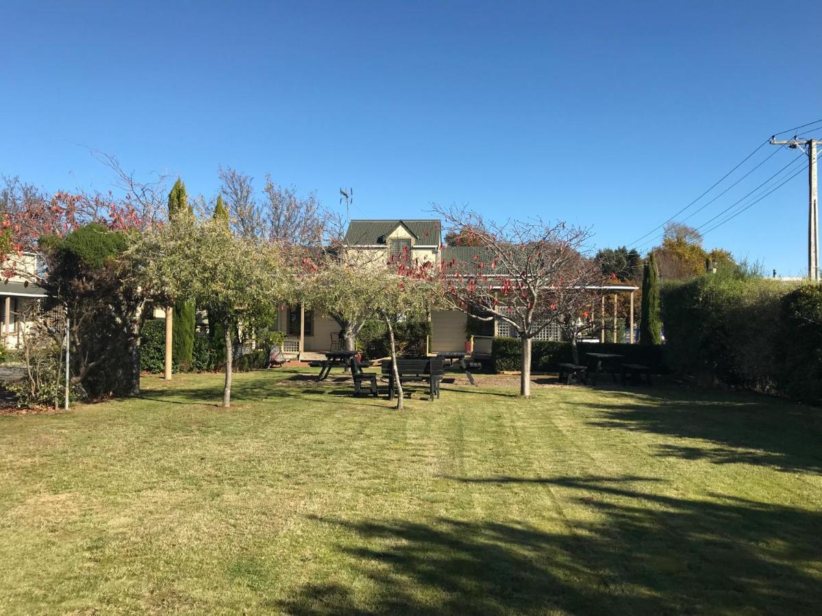 Pinot Villas Martinborough Extérieur photo