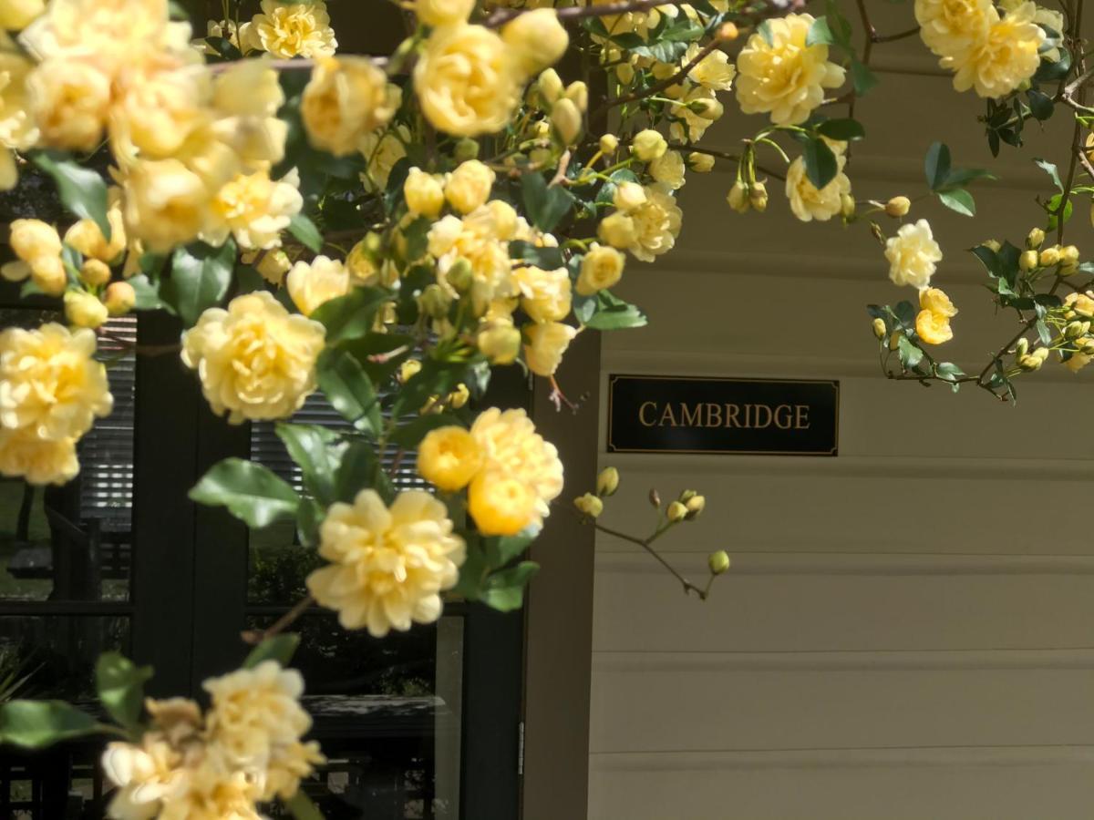 Pinot Villas Martinborough Extérieur photo