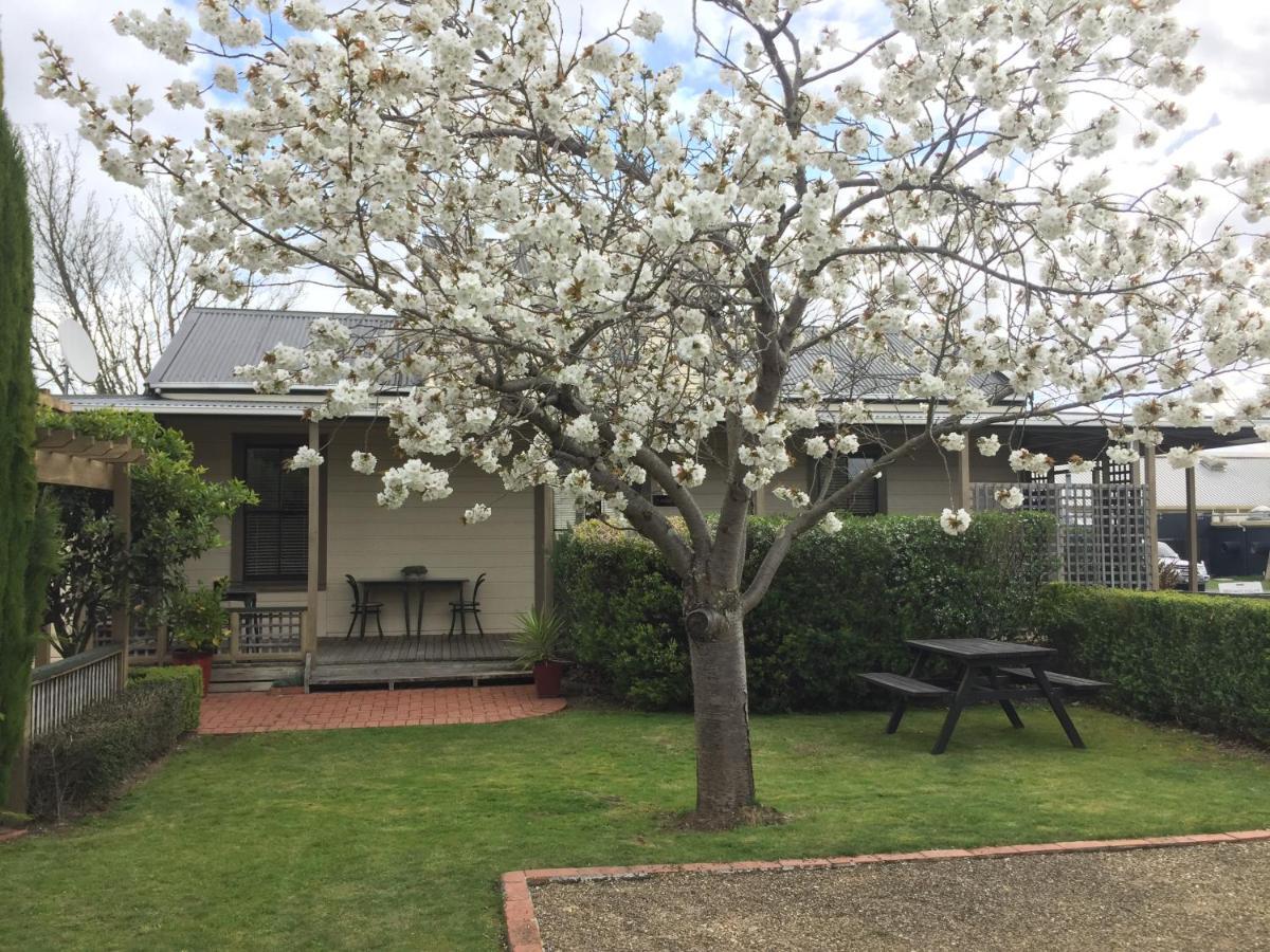 Pinot Villas Martinborough Extérieur photo